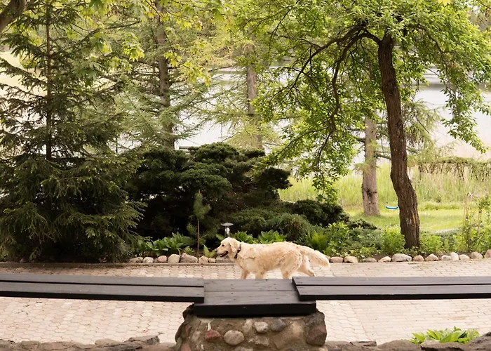 Gasiorowka * Gasiorowo (Olsztyn)